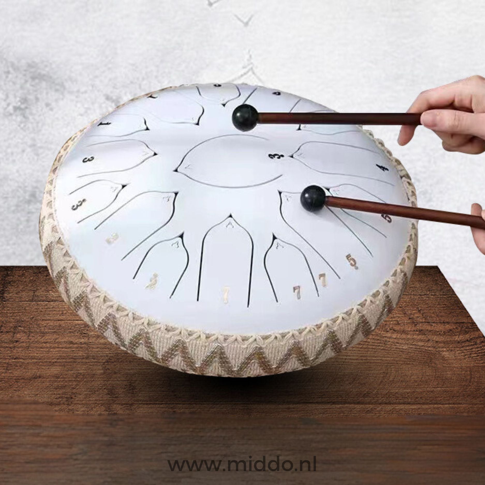 Resonara™ | Steel Tongue Drum for Musical Meditation and Creative Expression