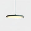 Cookie Pendant Light
