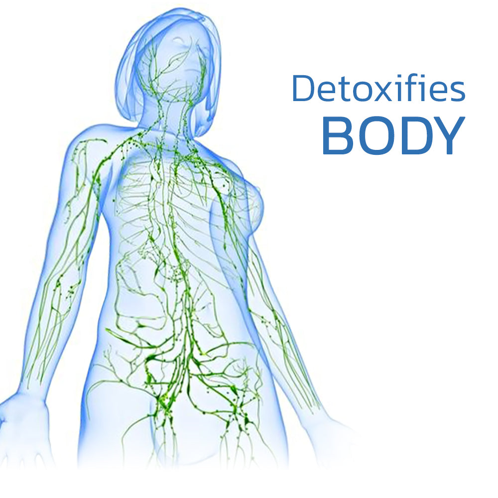 LymphEase™ | Acupressure Stimulation for Instant Comfort and Circulation