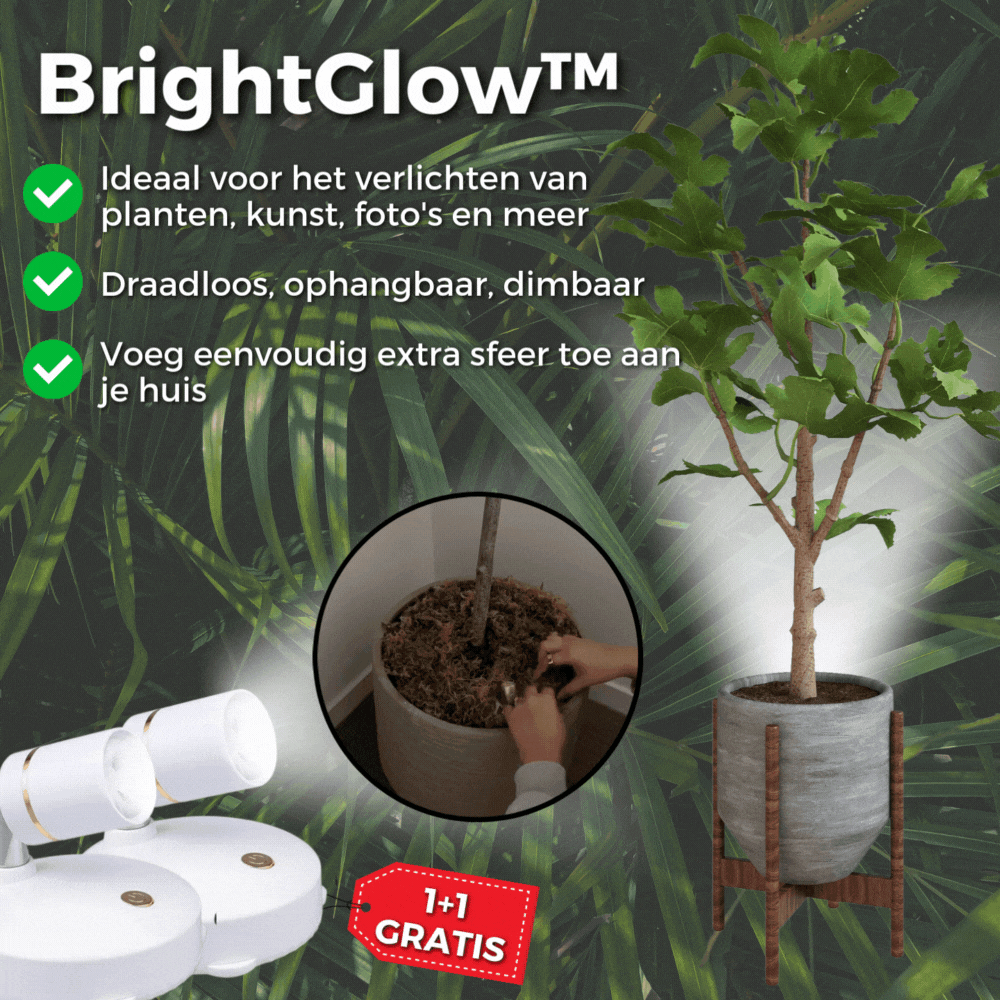 SpotLite™ | Bright Light, No Wires – Anywhere You Need It!