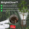 SpotLite™ | Bright Light, No Wires – Anywhere You Need It!