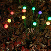 Lunara™ | Twinkling Charm Without the Plug