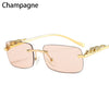 Retro Small Rimless Square Sunglasses: Golden Leopard Frame for Women and Men - Designer UV400 Eyewear Shades