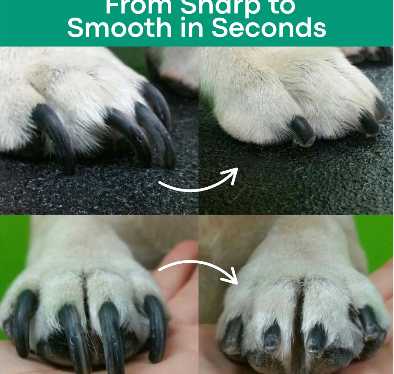 SafeTrim™ | Light the Way to Safer Grooming!