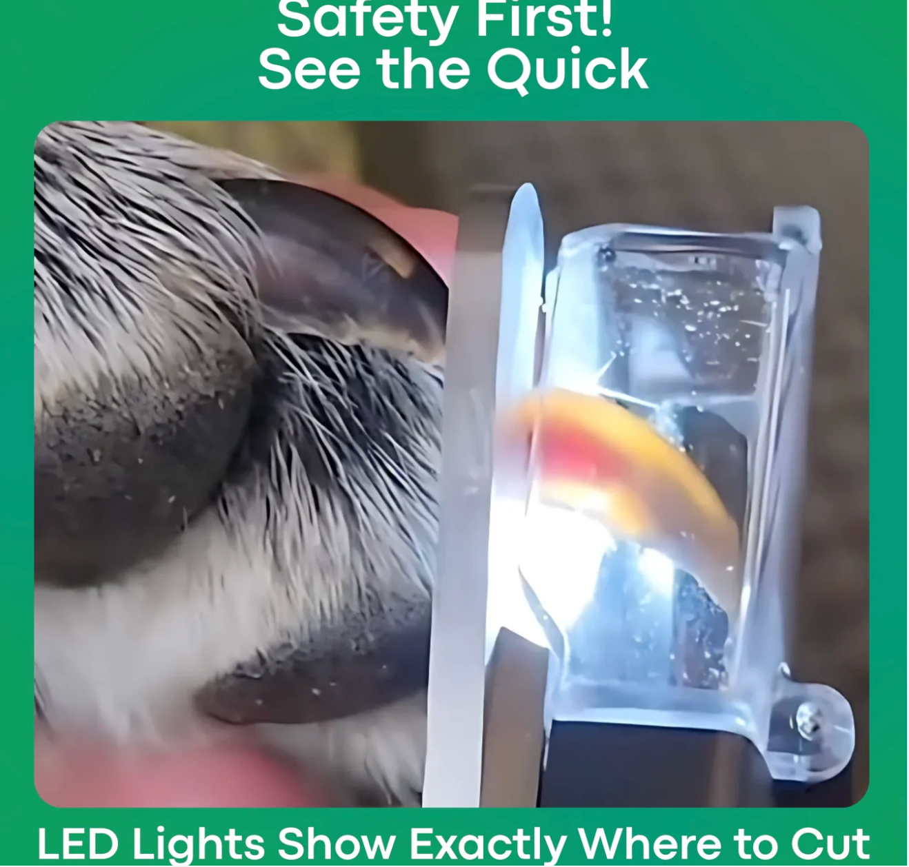 SafeTrim™ | Light the Way to Safer Grooming!