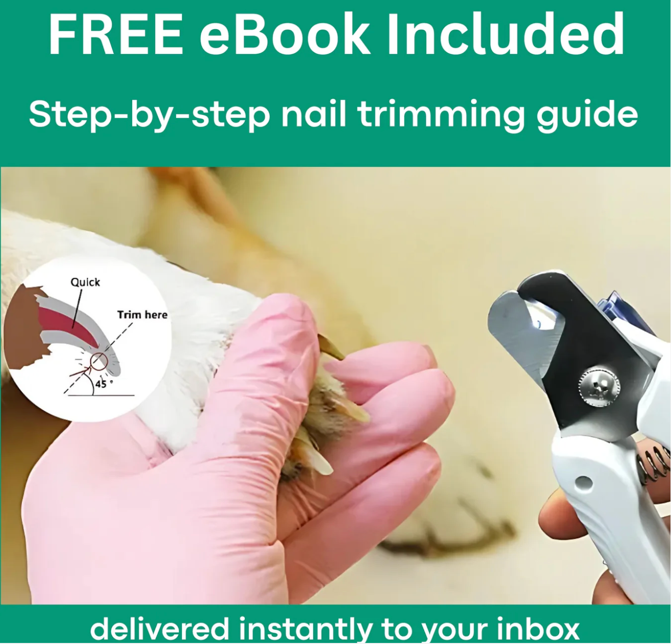 SafeTrim™ | Light the Way to Safer Grooming!