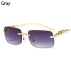 Retro Small Rimless Square Sunglasses: Golden Leopard Frame for Women and Men - Designer UV400 Eyewear Shades