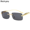 Retro Small Rimless Square Sunglasses: Golden Leopard Frame for Women and Men - Designer UV400 Eyewear Shades