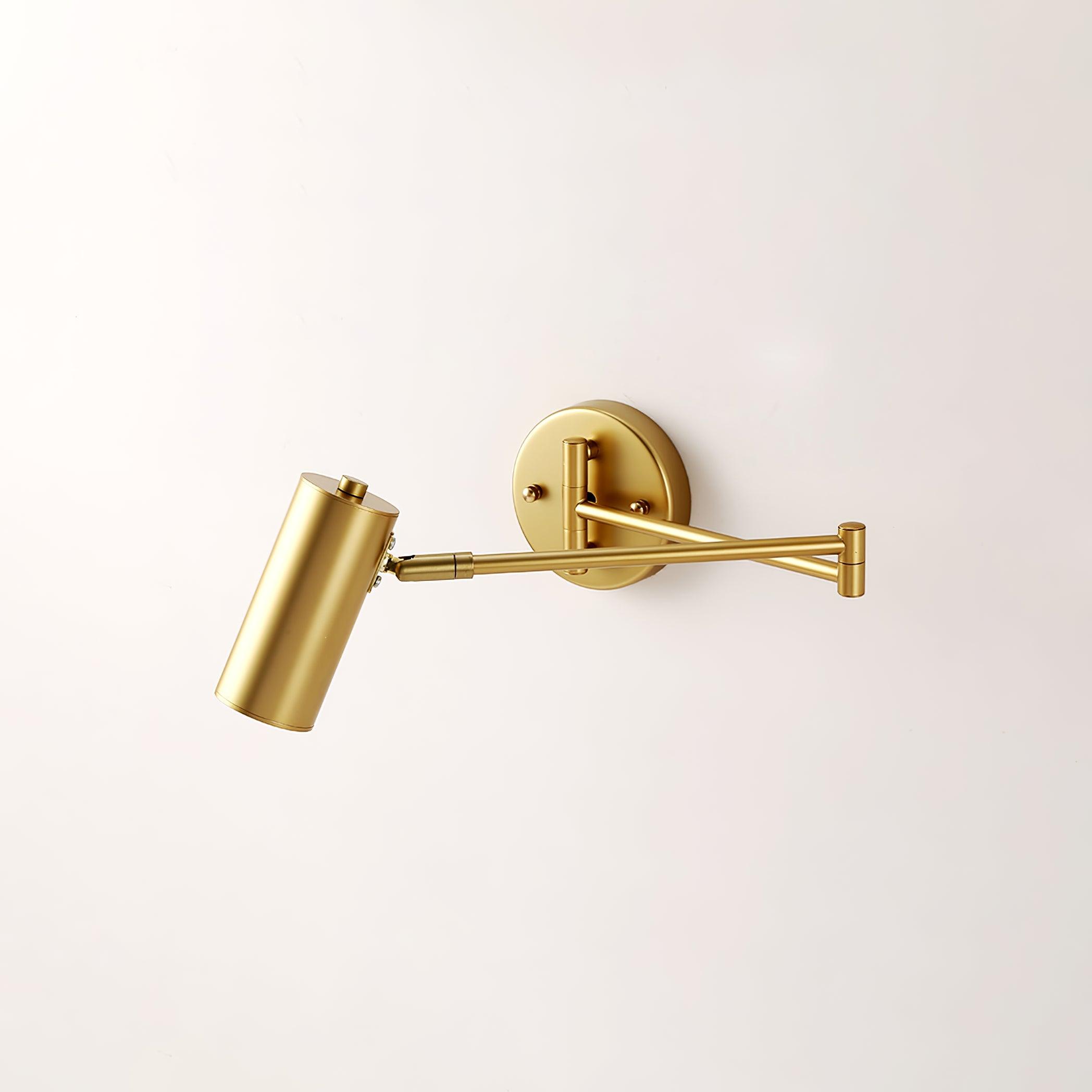 Swing Arm Wall Lamp