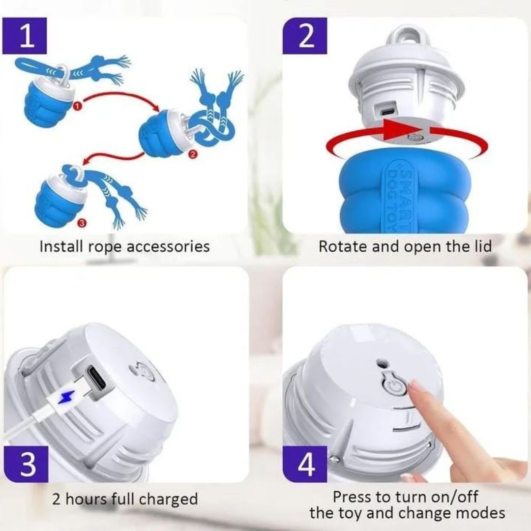 FurFrenzy™ | Keep Your Pup Chasing Happiness!