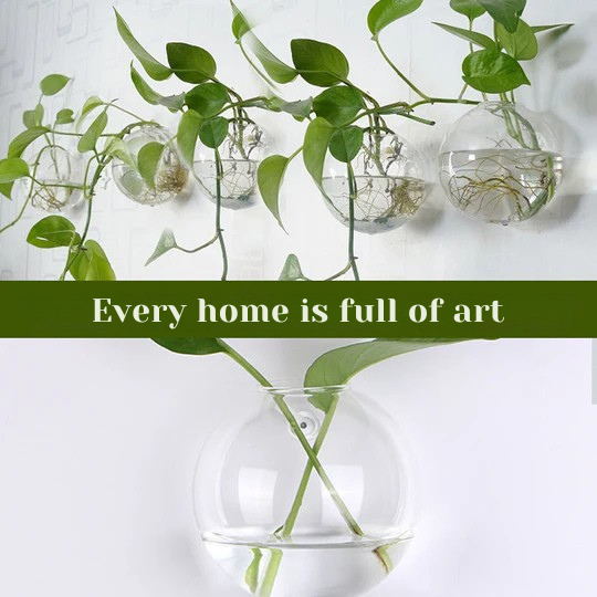 WallBloom™ | Green Up Your Walls—No Drills, No Damage!