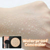 Waterproof Moisture Foundation - For Every Skin Tone