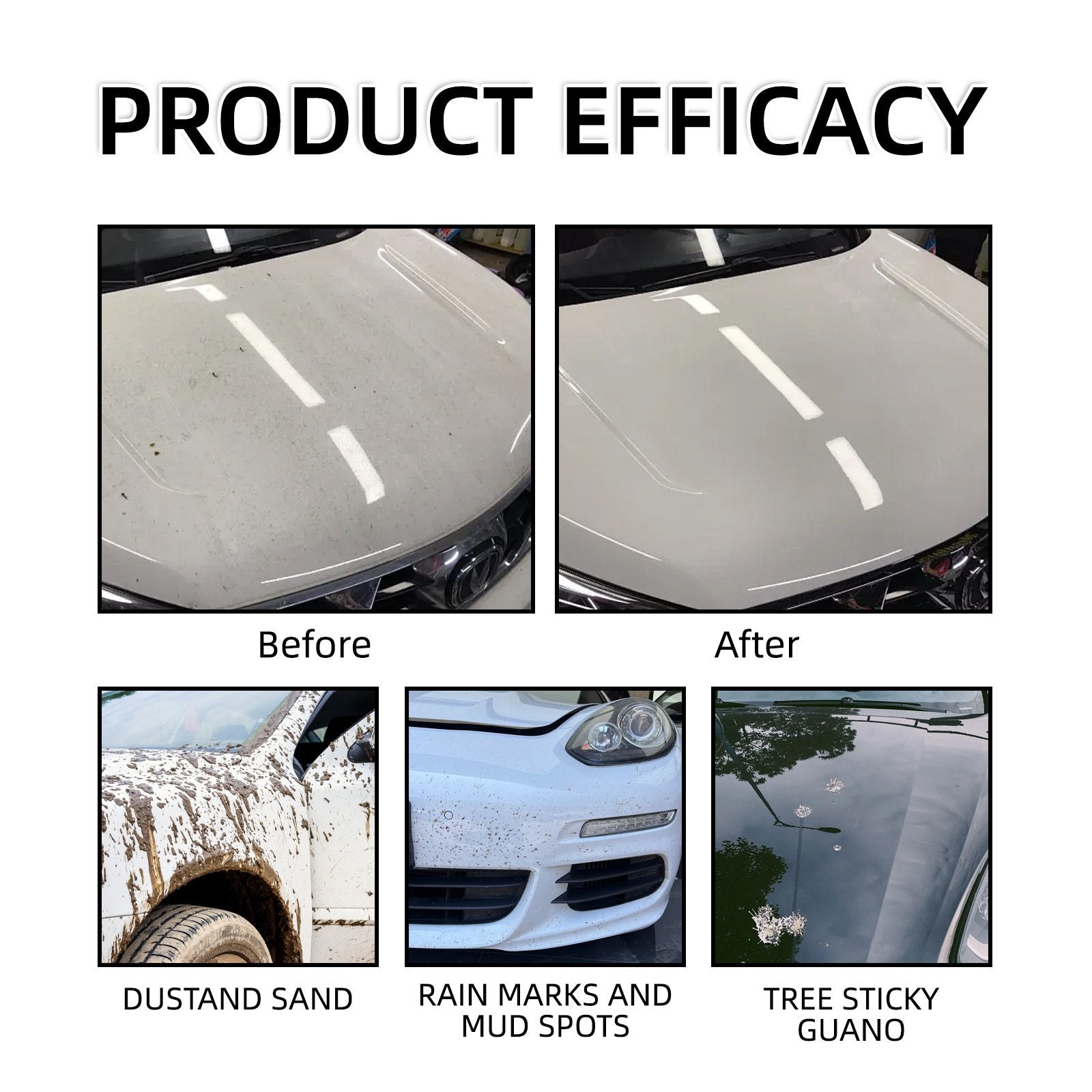 TitanShine™ | The Armor Your Paint Deserves!