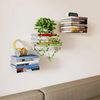ShelfTrix™ | The Invisible Shelf That Makes a Statement