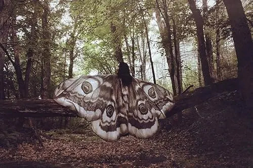 Elaria™ | Wrap Yourself in Magic — A Cape as Wild and Free as You