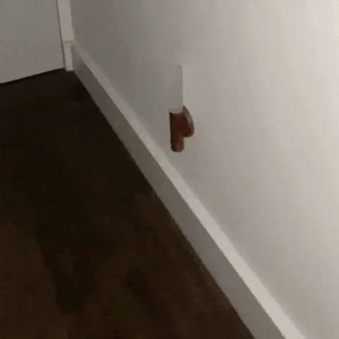 LumiWand™ | Home-Ready Light with a Natural Touch