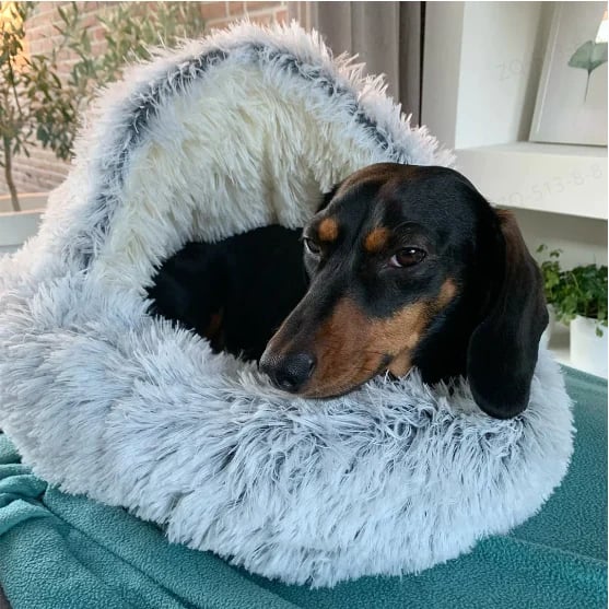 PawHaven™ | Where Pets Curl Up in Pure Comfort!