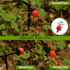 DripFlow™ | Smart Watering Made Simple