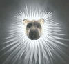 WildGlow™ | Animal LED Wall Light