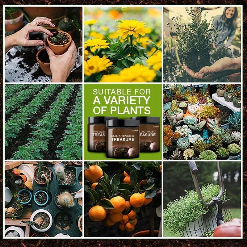 TreasureSprout™ | Soil Activated Treasure - Watch It Grow! 🌿