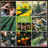 TreasureSprout™ | Soil Activated Treasure - Watch It Grow! 🌿