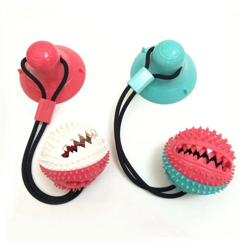 TugN’Snack™ | Your Dog’s Daily Dose of Fun!