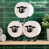 WoolRoll™ | The Softest Touch to Your Bathroom