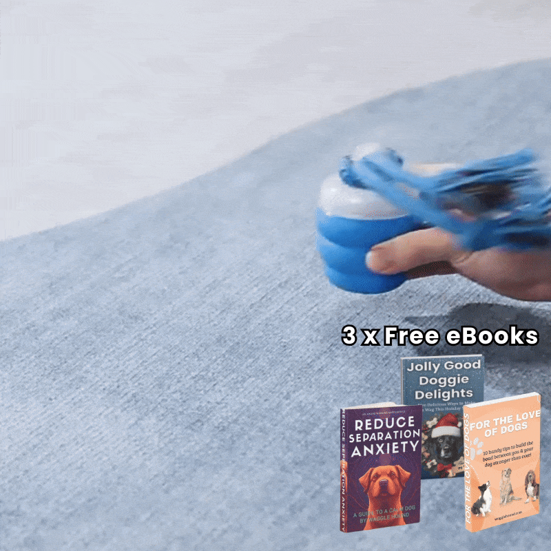 FurFrenzy™ | Keep Your Pup Chasing Happiness!