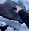 FrostFlow™ | The Ultimate Tool Against Snow