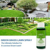 LawnShield™ | Say Goodbye to Bugs, Hello to a Greener Lawn!