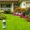 LawnShield™ | Say Goodbye to Bugs, Hello to a Greener Lawn!