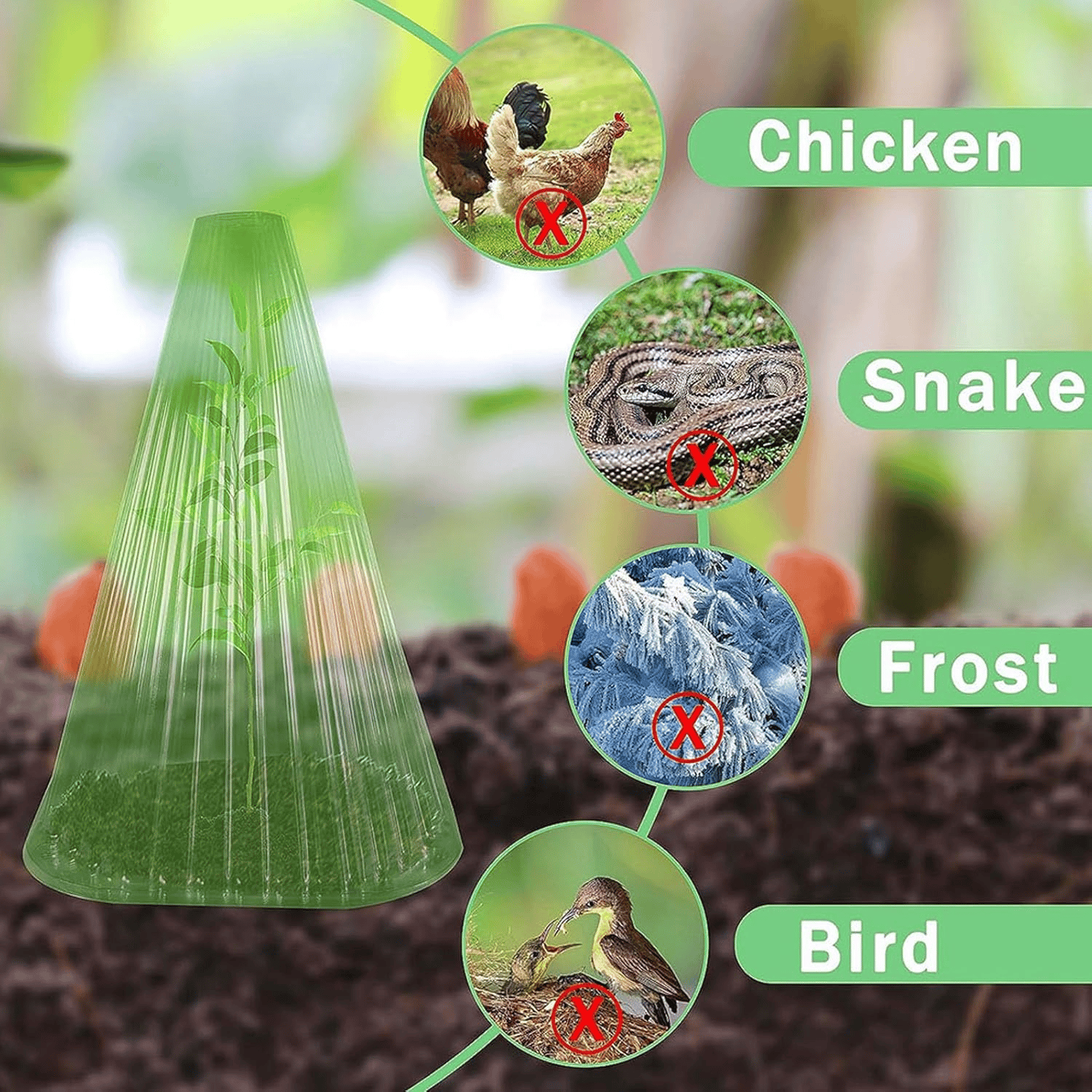 PlantShield™ | Your Plants’ Safe Haven