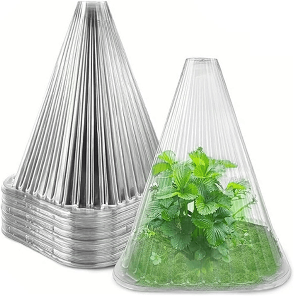 PlantShield™ | Your Plants’ Safe Haven