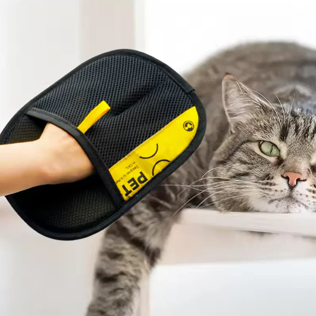 FuzzFree™ | Remove Pet Hair From Furniture And Clothes Instantly