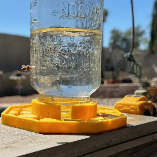 BeeHaven™ | Eco-Friendly Hydration for Happy Pollinators