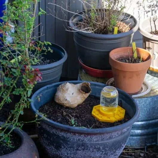 BeeHaven™ | Eco-Friendly Hydration for Happy Pollinators