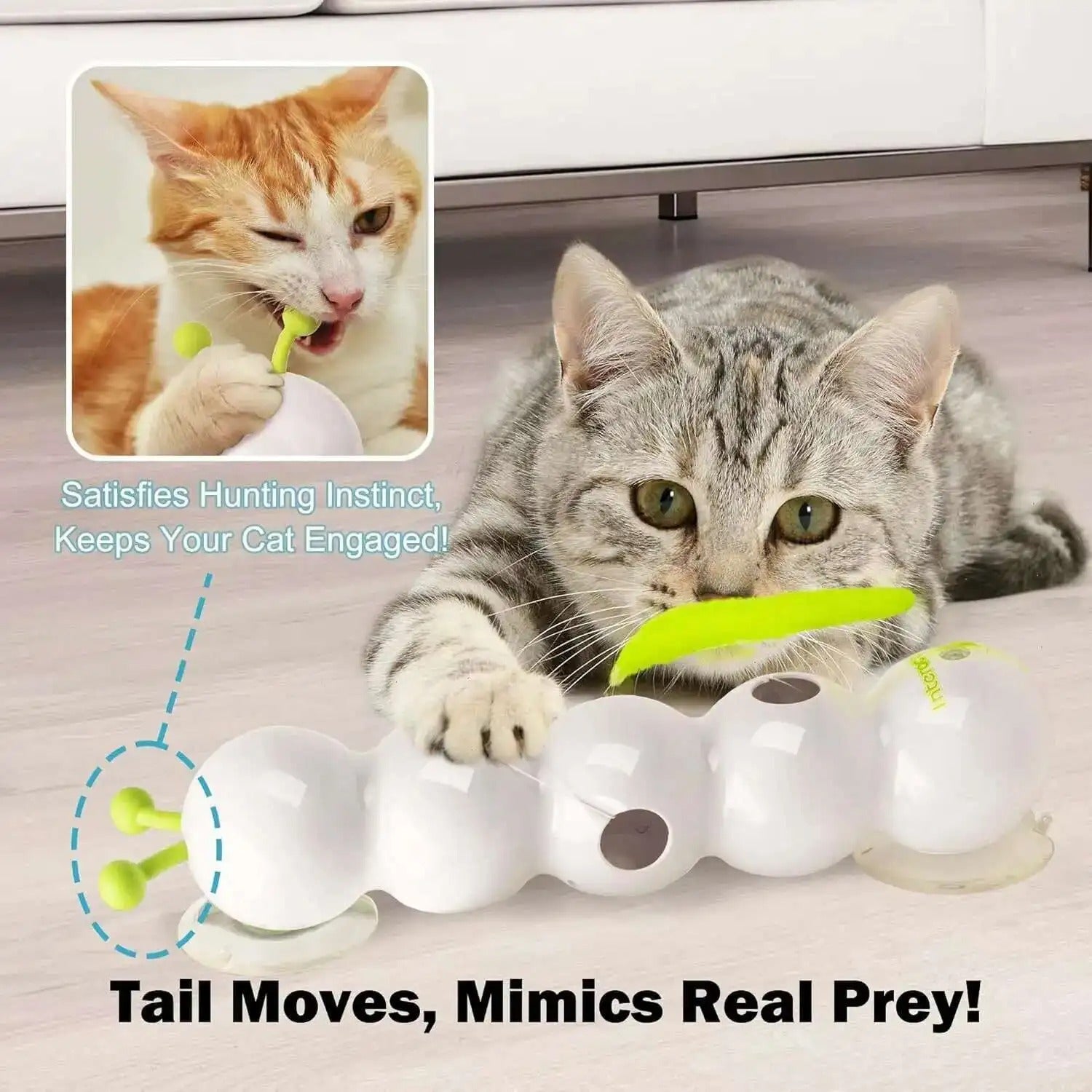 WiggleWorm™ | The Wall-Mounted Cat Toy That Brings Endless Fun