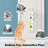 CatCurl™ | Spinning Fun for Curious Cats