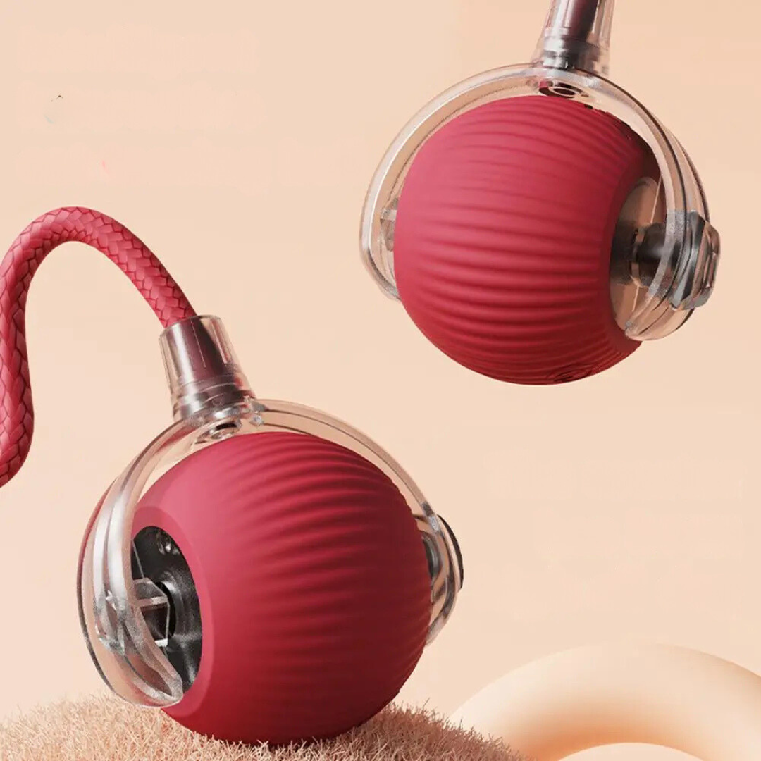 PurrChase™ | Ignite Your Cat’s Hunting Instinct