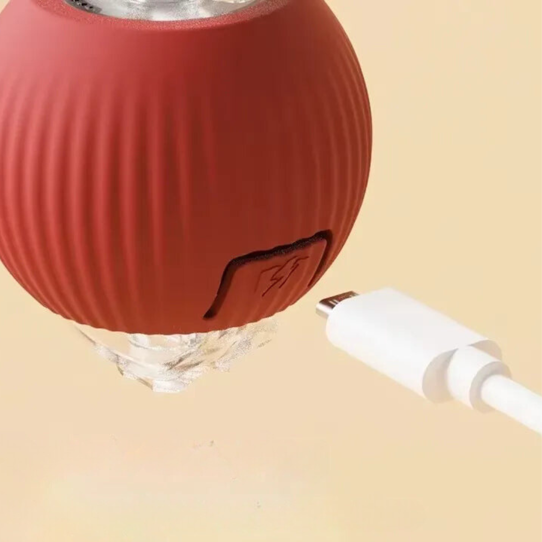 PurrChase™ | Ignite Your Cat’s Hunting Instinct