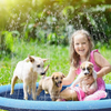 AquaBurst™ | Dive Into Cooling Fun for Kids and Pets!