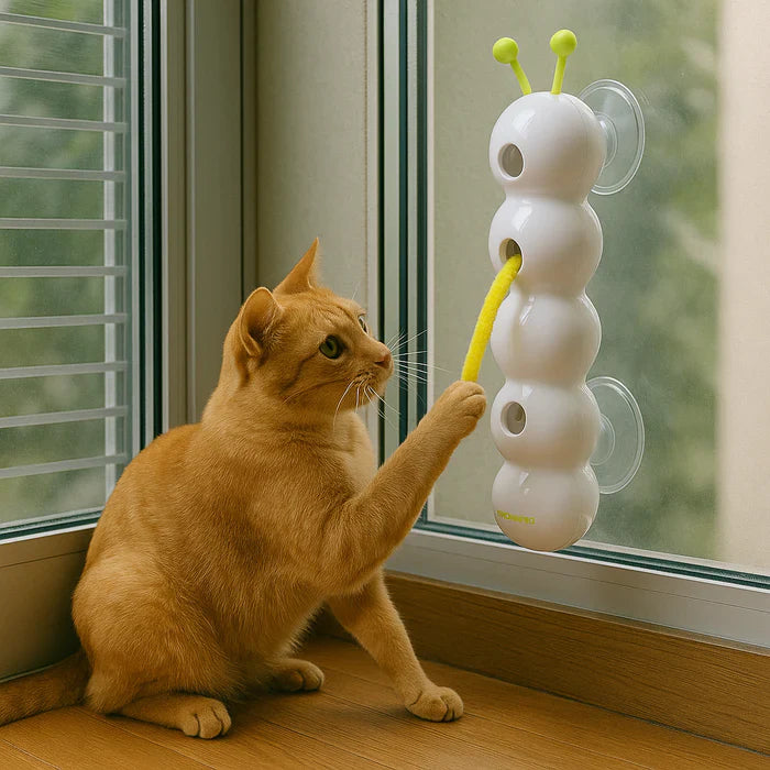 WiggleWorm™ | The Wall-Mounted Cat Toy That Brings Endless Fun